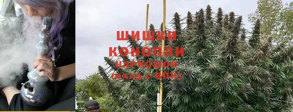 сатива Медвежьегорск