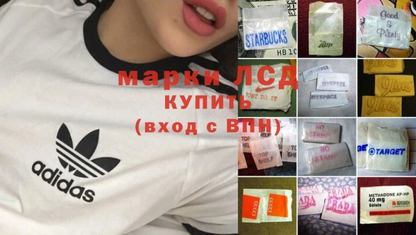стаф Михайловск