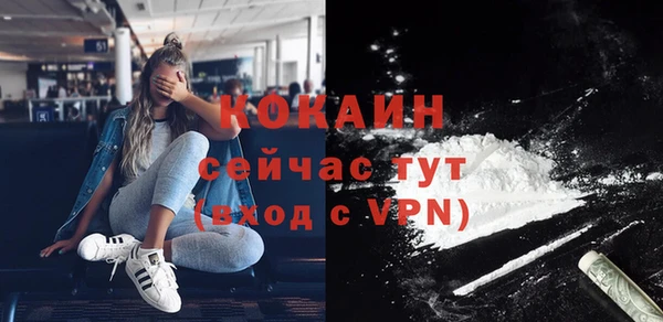 стаф Михайловск