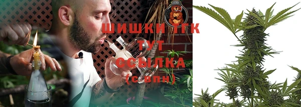 стаф Михайловск