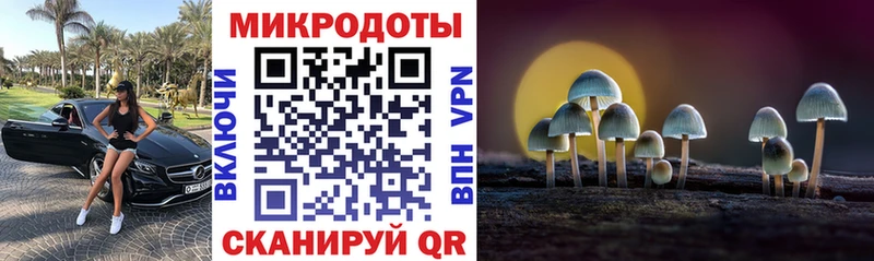 Галлюциногенные грибы прущие грибы  Северодвинск 