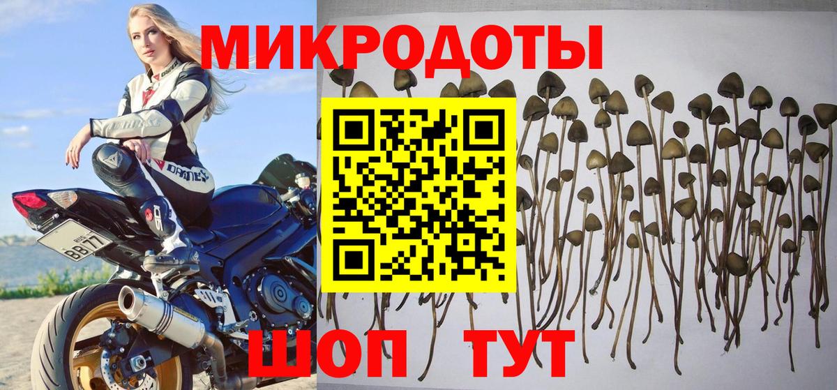 закладка  Вход с VPN  Северодвинск  Псилоцибиновые грибы прущие грибы 