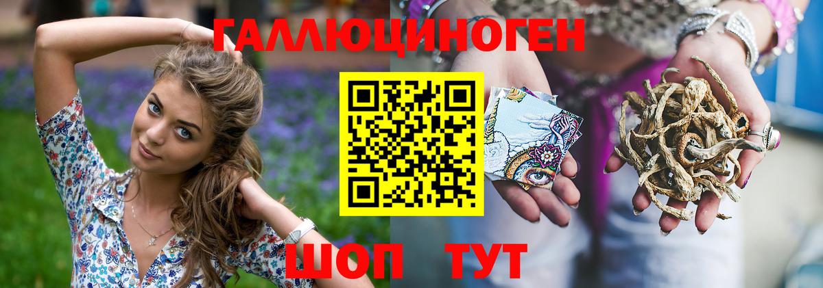 Псилоцибиновые грибы Psilocybe Северодвинск