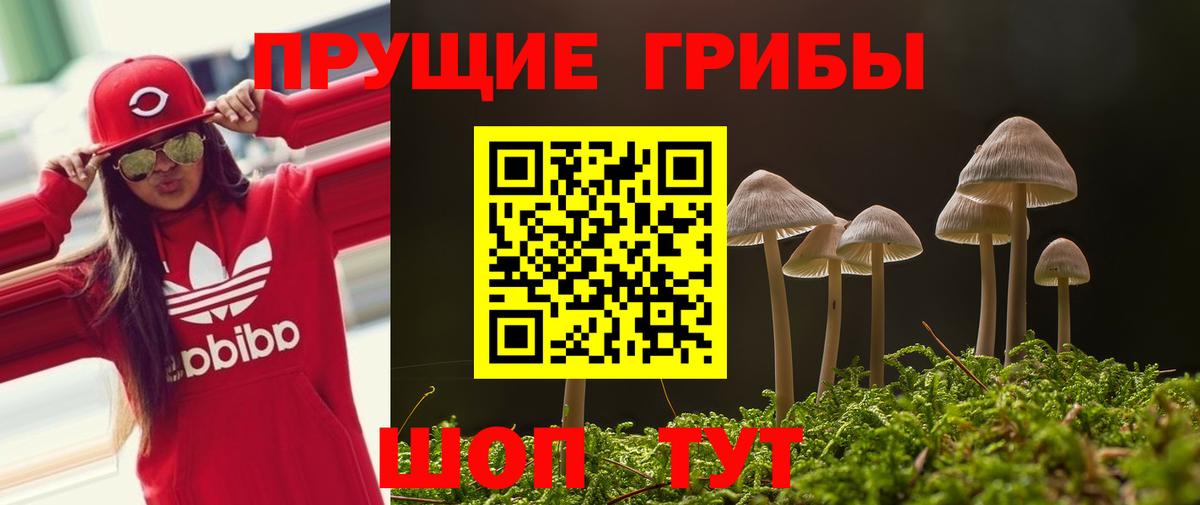 Галлюциногенные грибы прущие грибы Северодвинск